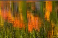 Bubble Pond, Acadia National Park, Maine Fine Art Print