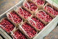 Bagged Cranberries Fine Art Print