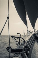 Annual Schooner Festival, Anchor, Massachusetts (BW) Fine Art Print