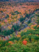 Big Carp River, Porcupine Mountains Wilderness State Park, Michigan Fine Art Print