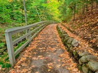 Autumn Trail Leading To Munising Falls Fine Art Print