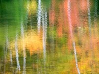 Panned Motion Blur Of An Autumn Woodland Reflection Fine Art Print