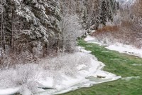 Coal Creek In The Winter, Montana Fine Art Print