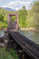 Abandoned Railroad Trestle, North Carolina Fine Art Print
