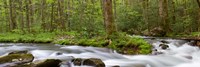 Panoramic Of Straight Fork Creek In Spring, North Carolina Fine Art Print