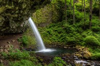 Ponytail Falls, Oregon Fine Art Print