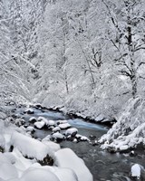 Snow On Boulder Creek, Oregon Fine Art Print