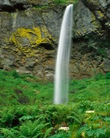 Elowah Falls, Oregon Fine Art Print