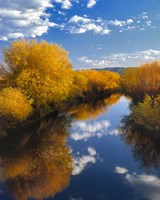 Donner And Blitzen River Landscape, Oregon Fine Art Print