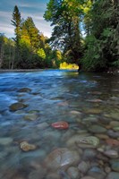 Sandy River Landscape, Oregon Fine Art Print