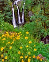Triple Falls, Oregon Fine Art Print