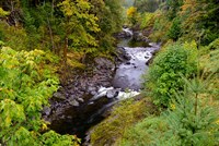 Wilson River Landscape, Oregon Fine Art Print