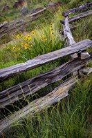 Split Rail Fence In Smith Rock State Park, Oregon Fine Art Print