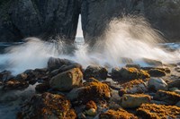 Ocean Spray On Rocky Coastline, Oregon Fine Art Print