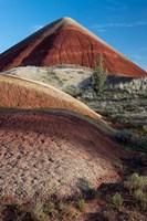 Oregon, John Day Fossil Beds National Monument The Undulating Painted Hills Fine Art Print