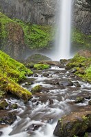 Latourell Falls And Creek, Columbia Gorge, Oregon Fine Art Print