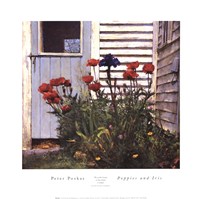 Poppies and Iris Fine Art Print