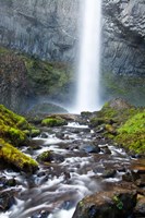 Latourell Falls And Creek, Columbia Gorge, Oregon Fine Art Print