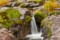 Autumn At Little Falls, Umpqua National Forest, Oregon Fine Art Print