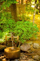 Japanese Garden, Dundee, Oregon Fine Art Print