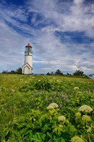 Cape Blanco Lighthouse, Oregon Fine Art Print