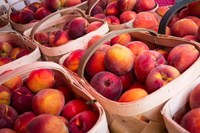 Peaches In Baskets, South Carolina Fine Art Print