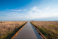 Walkway Going Through The Badlands National Park, South Dakota Fine Art Print