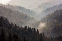 Mist Rises In A Valley Of Tree-Lined Ridges Fine Art Print