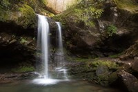 Grotto Falls, Tennessee Fine Art Print