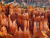 Morning Light On The Hoodoos Of Bryce Canyon National Park Fine Art Print