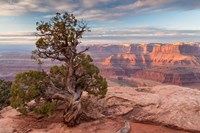 Sunrise At Dead Horse Point State Park, Utah Fine Art Print