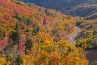 Landscape With Nebo Loop Road, Uinta National Forest, Utah Fine Art Print