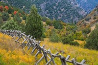 Fence And Meadow Landscape, Utah Fine Art Print