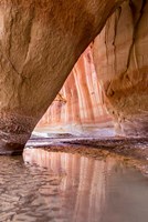 Slide Arch In Paria Canyon, Utah Fine Art Print