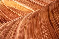 The Wave, Utah Fine Art Print
