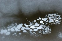 Abstract Design Formed By Frozen Ice Bubbles Fine Art Print