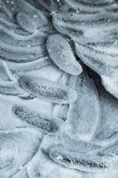 Frozen Ice Designs Fine Art Print