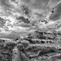 Sulphur Creek, Capitol Reef National Park, Utah (BW) Fine Art Print