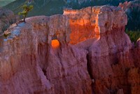 First Light On The Hoodoos At Sunrise Point, Bryce Canyon National Park Fine Art Print