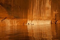 Glen Canyon National Recreation Area Tapestry Wall, Utah Fine Art Print