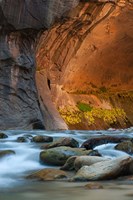 Autumn Foliage Inside The Narrows, Utah Fine Art Print