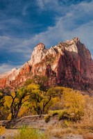 Autumn Foliage In Front Of The Sentinel, Utah Fine Art Print
