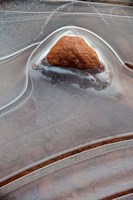 Rock Embedded With Frozen Ice, Utah Fine Art Print