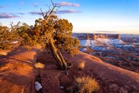 Overlook Vista At Canyonlands National Park, Utah Fine Art Print