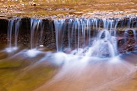 Cascade Along The Left Fork Of North Creek, Zion National Park, Utah Fine Art Print