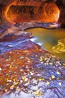 The Subway Along North Creek With Fallen Leaves, Utah Fine Art Print