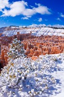 Fresh Powder On Rock Formations In The Silent City, Utah Fine Art Print