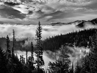 Olympic National Park, Washington (BW) Fine Art Print