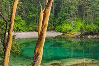 Secluded Bay On Sucia Island, Washington State Fine Art Print