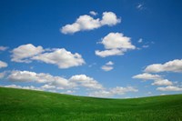 Green Wheat Field Landscape, Washington State Fine Art Print